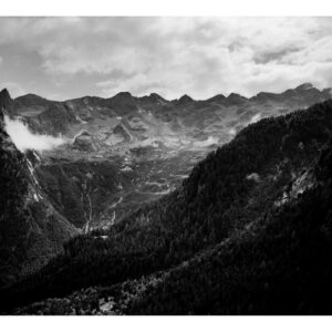 ILFORD PAN100 100