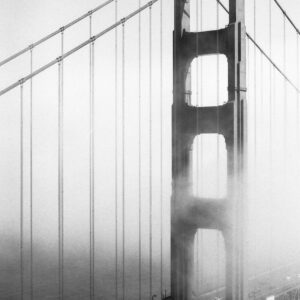 ILFORD PAN100 100
