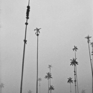 ILFORD PAN100 100