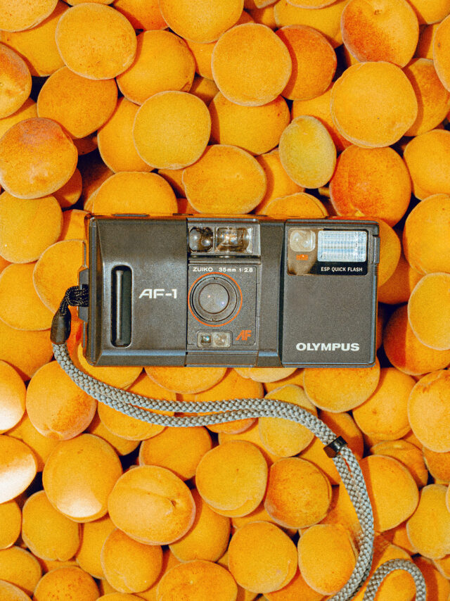 Olympus AF-1