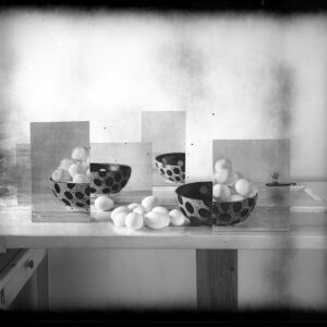 new55_bw_-_instant_4x5_print_film