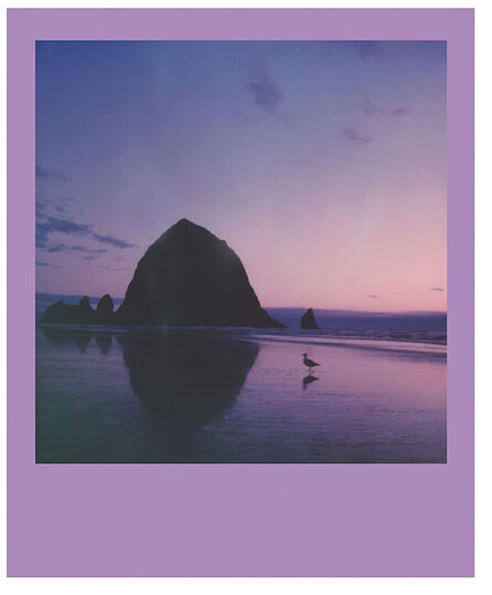 Polaroid_Originals_Color Film for 600 Summer Haze Edition
