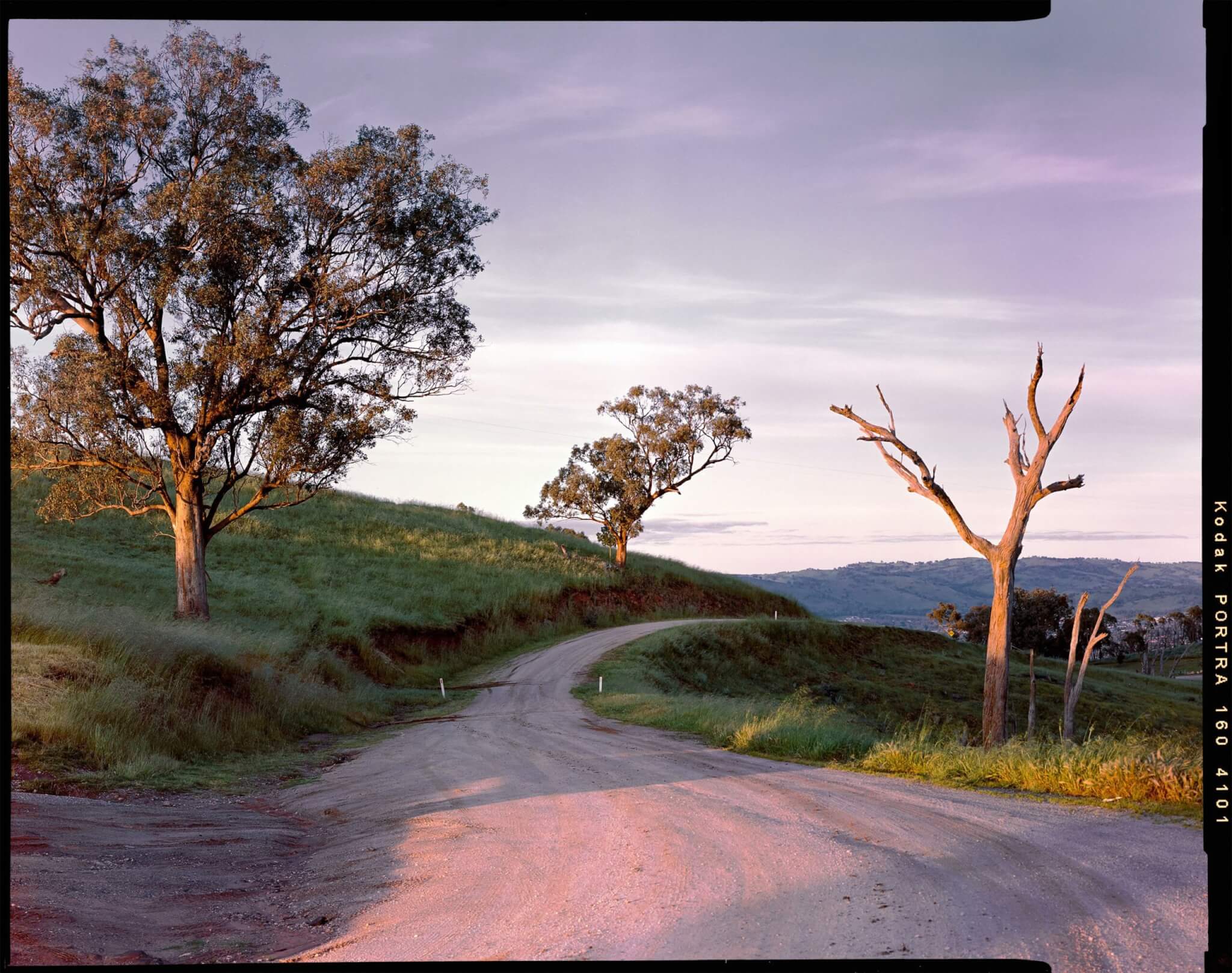 portra 4x5