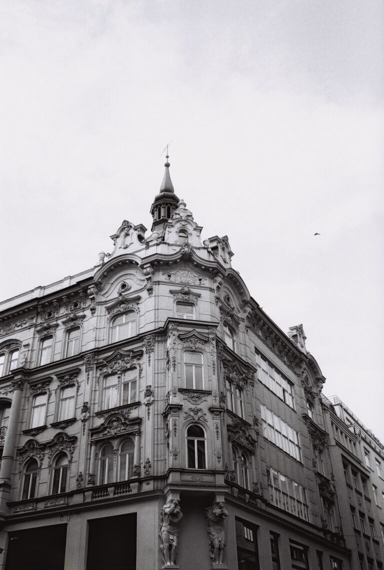 Fomapan 100/36