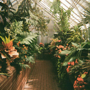 Kodak ULTRA F9