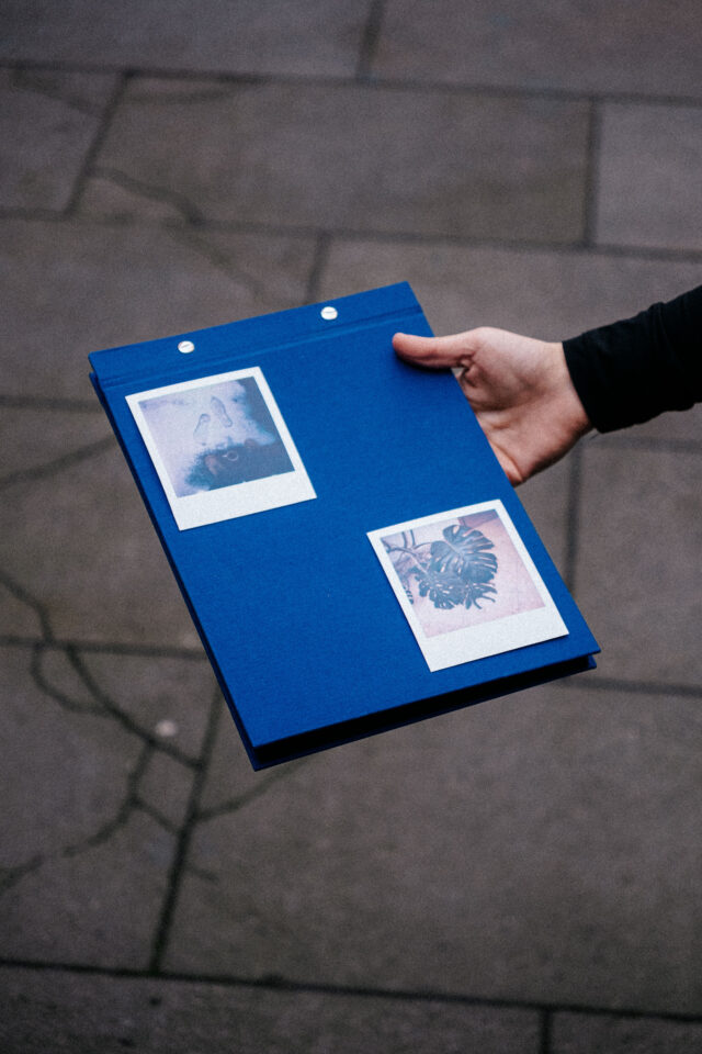 Album Polagraph – světle modré