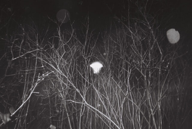 KENTMERE 200/135-36