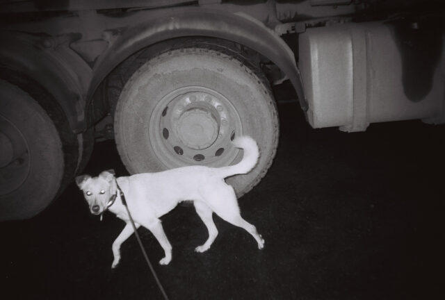 KENTMERE 200/135-36
