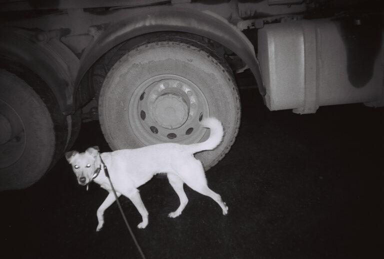 KENTMERE 200/135-36