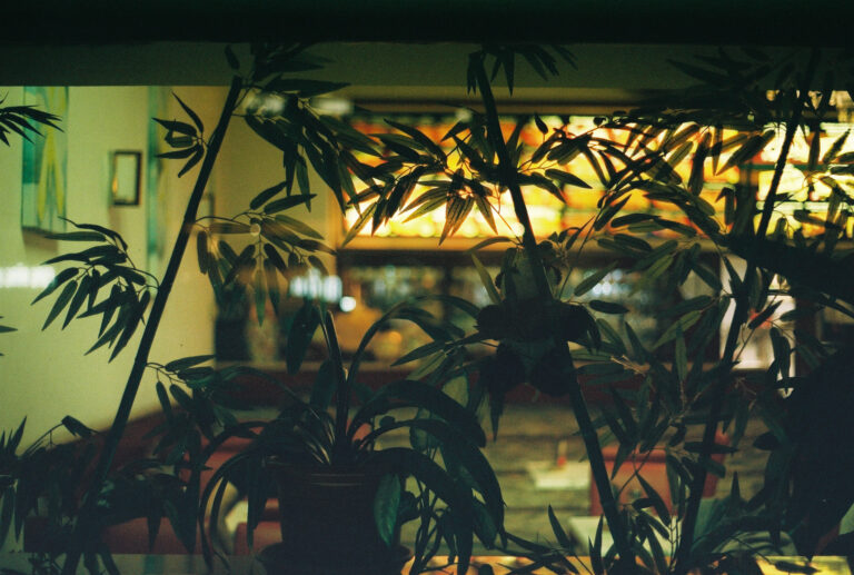 King Film Perutz Color 400/135-36