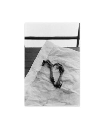 KNIHA: Libuše Jarcovjáková – Supersonico ²