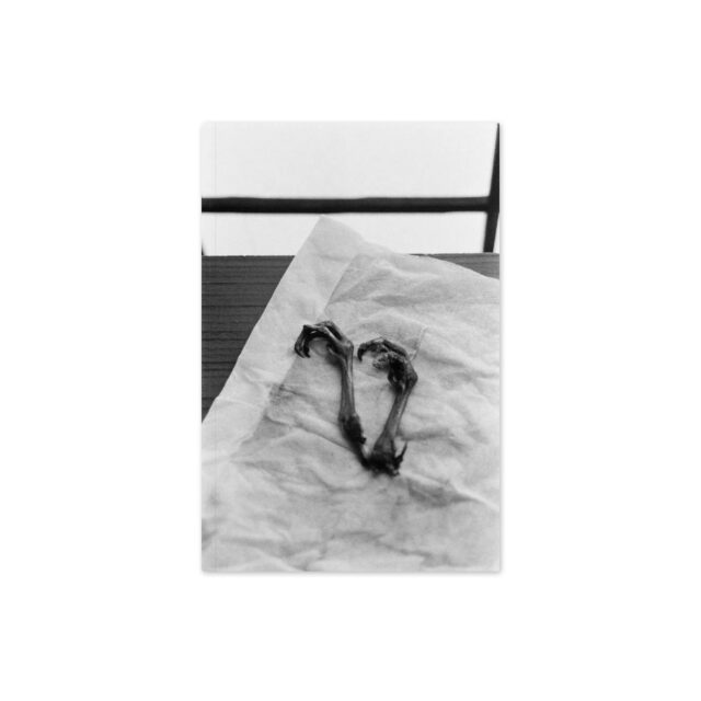 KNIHA: Libuše Jarcovjáková – Supersonico ²