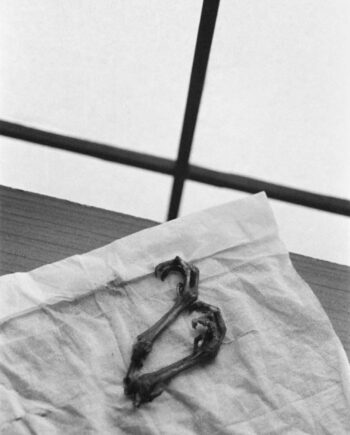 Libuše Jarcovjáková Supersonico 2