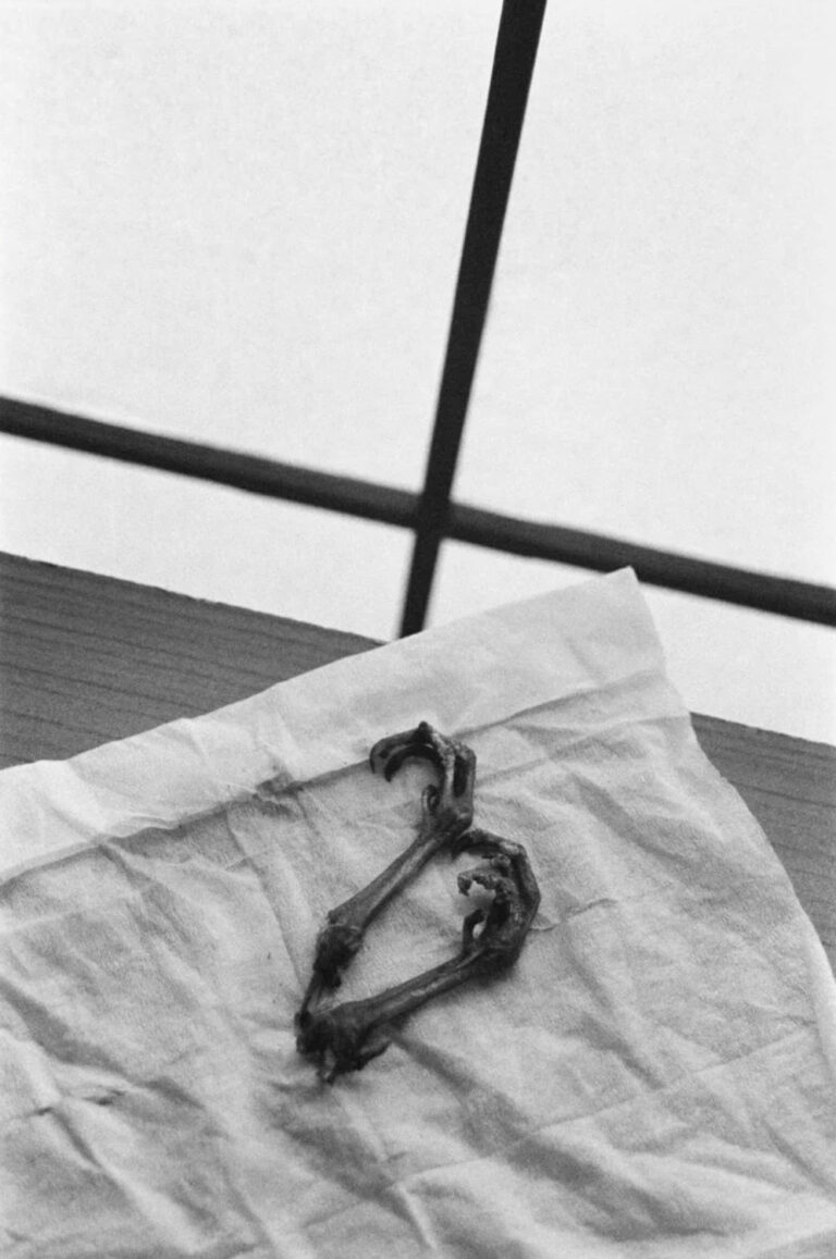 Libuše Jarcovjáková Supersonico 2