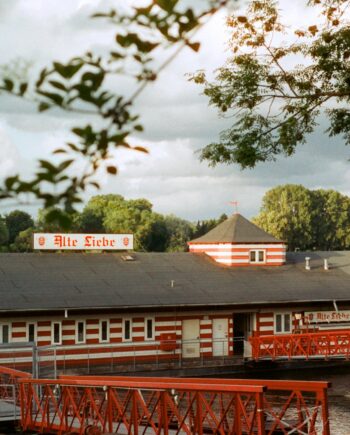 KONO Color 200 135/36