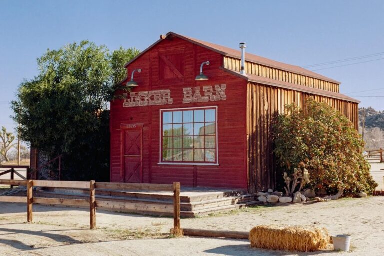 KODACOLOR 100 Film 135-36