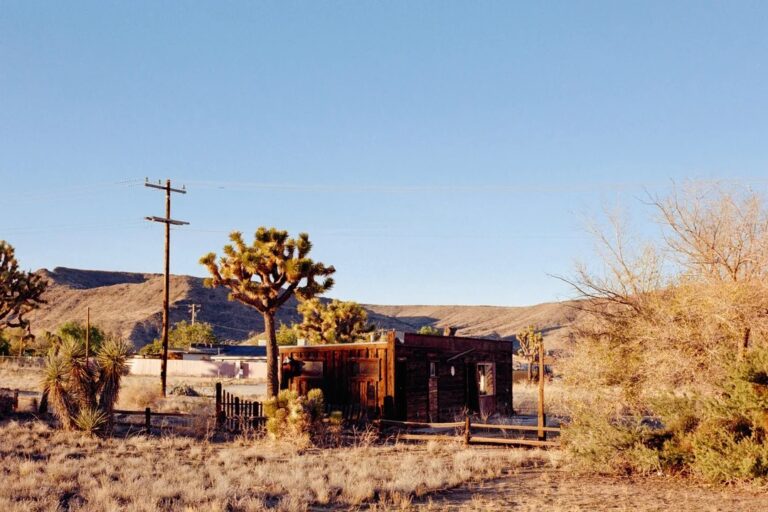 KODACOLOR 100 Film 135-36